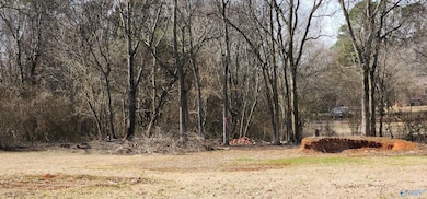 325 Pension Row, Madison, AL 35758 - photo 7