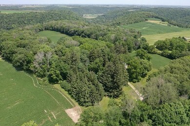 summer air photo2.jpg