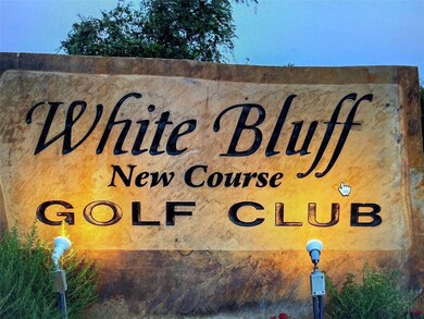 1599 Brookside Dr, Whitney, TX 76692 - photo 6