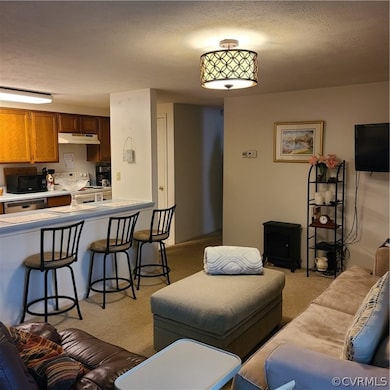 7608 Portadown Ct unit 2605, Henrico, VA 23228 - photo 4