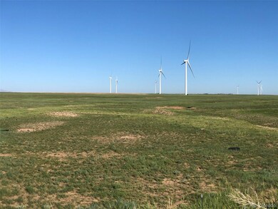 0003 Calhan Hwy, Calhan, CO 80808 - photo 4