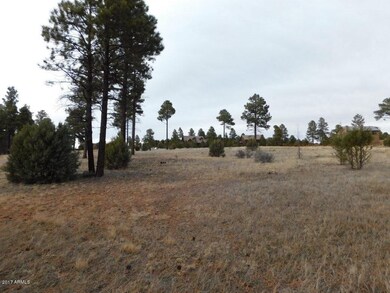 2741 Skyhawk Dr (6)