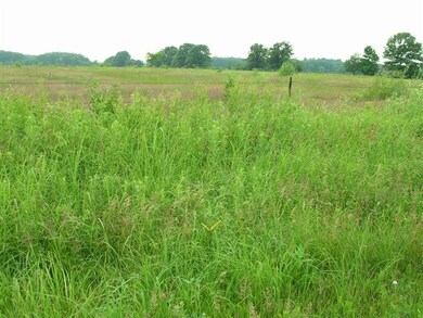 000 Crescent Rd, Byron, WI 54666 - photo 4