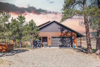 475 Hills Cir, Pagosa Springs, CO 81147 - photo 5