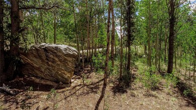 308 Quarry Rd, Fair Play, CO 80440 - photo 7