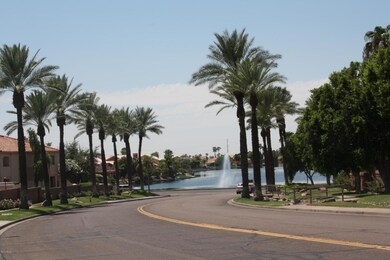 PALM TREE LINED STREETS