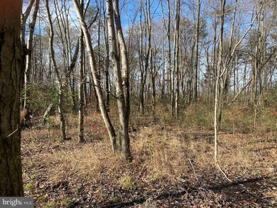 10900 Patuxent Ave, Glenn Dale, MD 20769 - photo 5