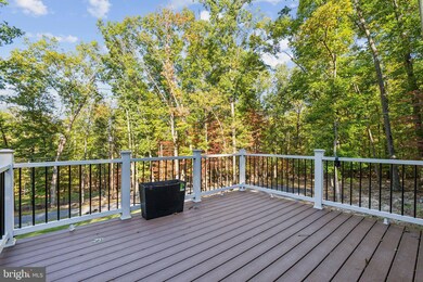 117 Terrapin Rd, Harpers Ferry, WV 25425 - photo 3