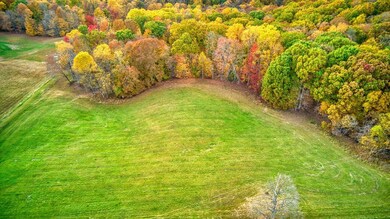 View of the treeline on the property