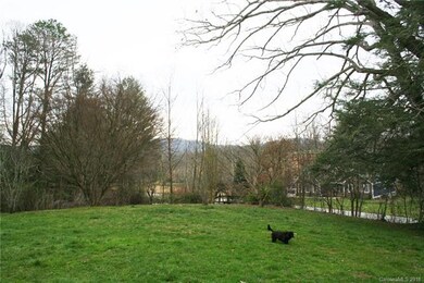 Large front yard for the kids and pets
