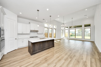 21127 Flowerhorn Dr, Cypress, TX 77433 - photo 7