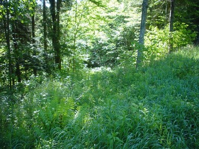 152 Deadwater Loop, Clarksville, NH 03592 - photo 4