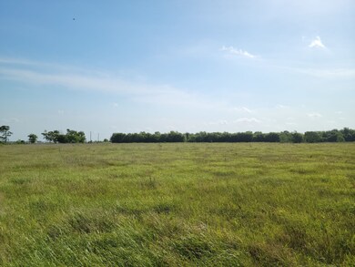 0 Cole Rd unit 94592970, Bay City, TX 77414 - photo 4