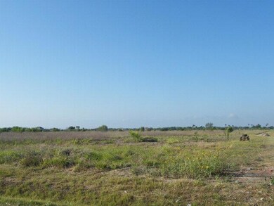 000 E Ridge Rd, Alamo, TX 78516 - photo 3