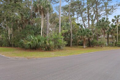 2485 the Haul Over, Seabrook Island, SC 29455 - photo 2