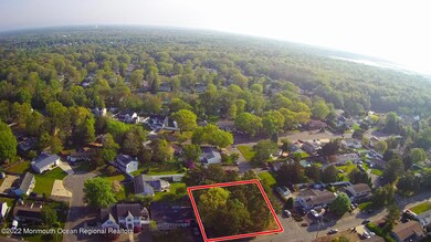 312 Pine Forest (5)