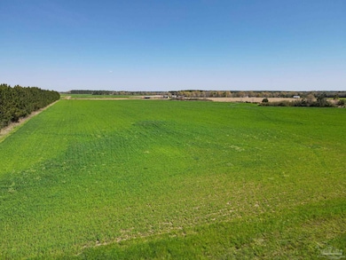 5872 S State Hwy 99, McDavid, FL 32568 - photo 3