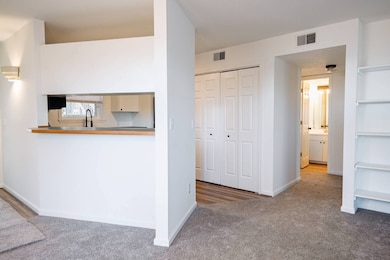 Breakfast Counter Pass thru window