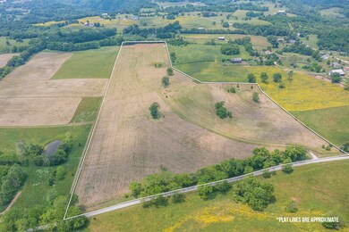 2205 Patterson Rd, Versailles, KY 40383 - photo 7