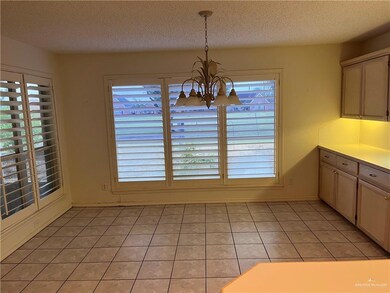 325 Rebecca Dr, Alamo, TX 78516 - photo 7