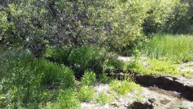 Stream