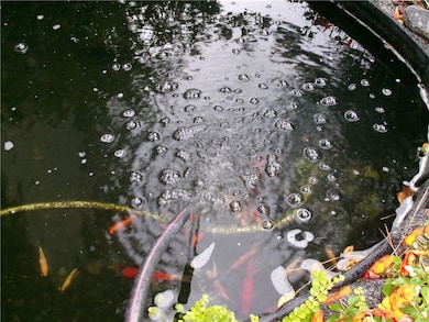 2735 Wendy Ln, Marietta, GA 30062 - photo 6