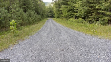 TBD Birds Nest Rd, Hinton, VA 22831 - photo 5