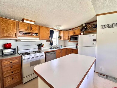 34344 Highway 160 unit 61, Durango, CO 81303 - photo 4