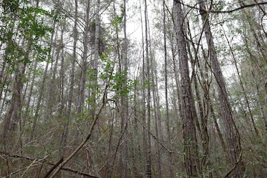 Tbd Hwy 29, Janice, MS 39425 - photo 7