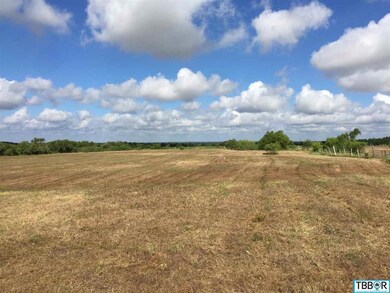 Hwy 317 Bell County Rural, Moody, TX 76557 - photo 5
