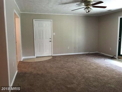 105 Hailey Ln, Strasburg, VA 22657 - photo 3