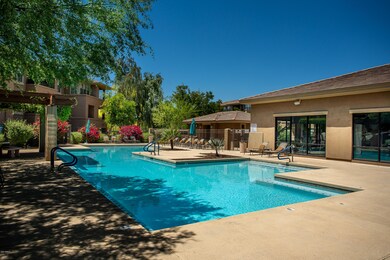 Edge #1104 POOL