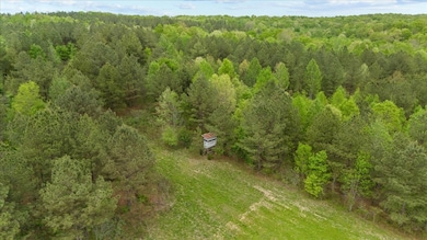 0 Sykes Branch Rd, Waverly, TN 37185 - photo 7