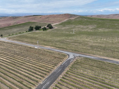 2020 Vintage Rd, Zillah, WA 98953 - photo 2
