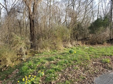 0 Orr St unit 2124531, Manchester, TN 37355 - photo 2