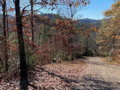 Lot 24 Thimble Loop, Murphy, NC 28906 - photo 3