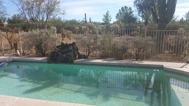 Melissa pool 3