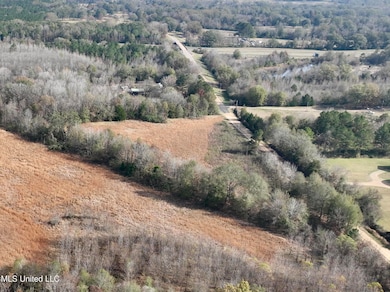 0002 Pisgah Bottom Rd, Canton, MS 39046 - photo 3