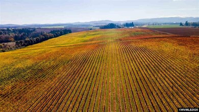 17200 Pleasant Hill Rd, Sheridan, OR 97378 - photo 6