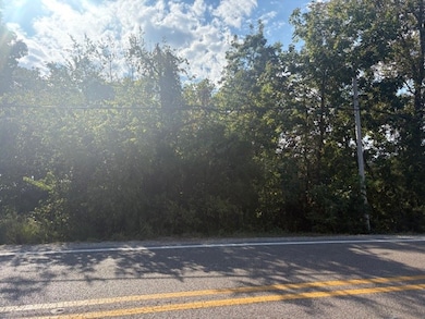 Lot 15 & 2A Highway 5, Norfork, AR 72658 - photo 2