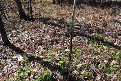 0 S 230th Ave, Lincoln Township, MI 49677 - photo 6