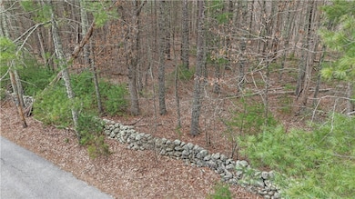 Road View