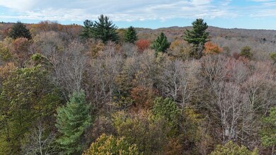 491 Tamarac Rd, Oxford, NY 13830 - photo 3