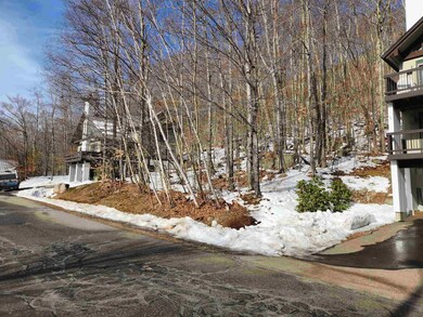 68 Westview Rd, Lincoln, NH 03251 - photo 5