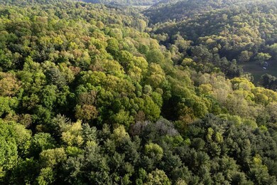 0 Twp Rd 629 & 3292 unit 9060612, Loudonville, OH 44842 - photo 4