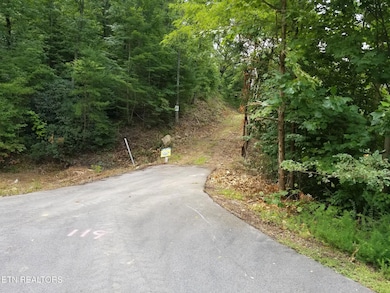 0 Fern Point Dr, Sevierville, TN 37862 - photo 6