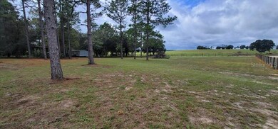 6951 SE 210 Ave, Morriston, FL 32668 - photo 4