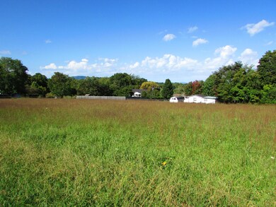 cherry tree lane (5)