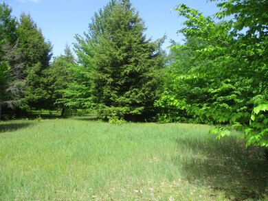nice site surrounded by trees