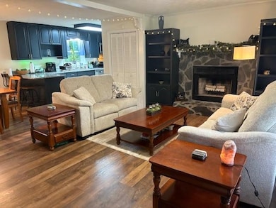 Living room featuring wood finished floors, a stone fireplace, and crown molding